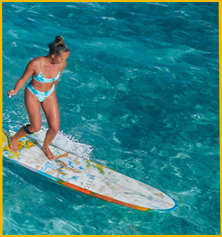 Travelermx img